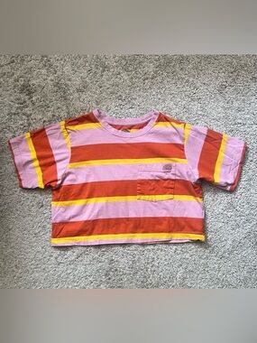 Dickies Cropped Striped Tee in Pink, Orange & Yellow